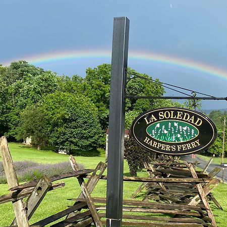 La Soledad Lavender Farm And Guesthouse Harpers Ferry Εξωτερικό φωτογραφία
