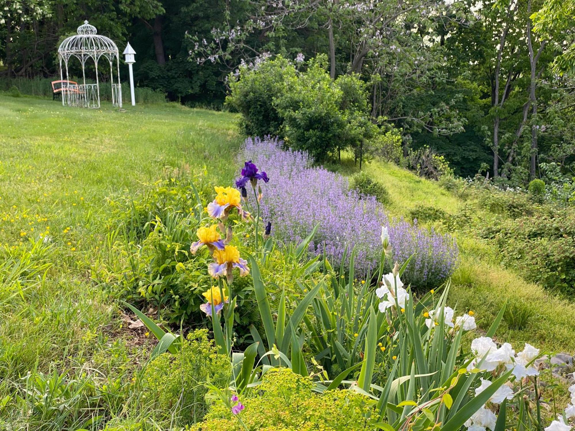 La Soledad Lavender Farm And Guesthouse Harpers Ferry Εξωτερικό φωτογραφία